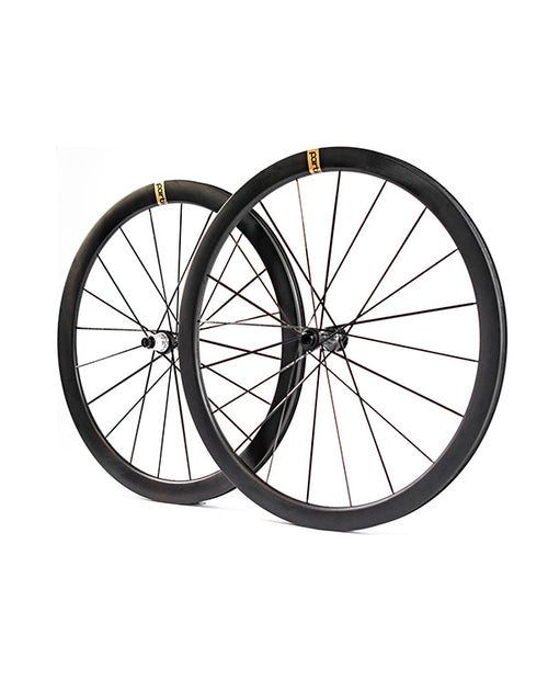 Partington 1160g 超輕碳纖碟煞輪組 39/44 金標