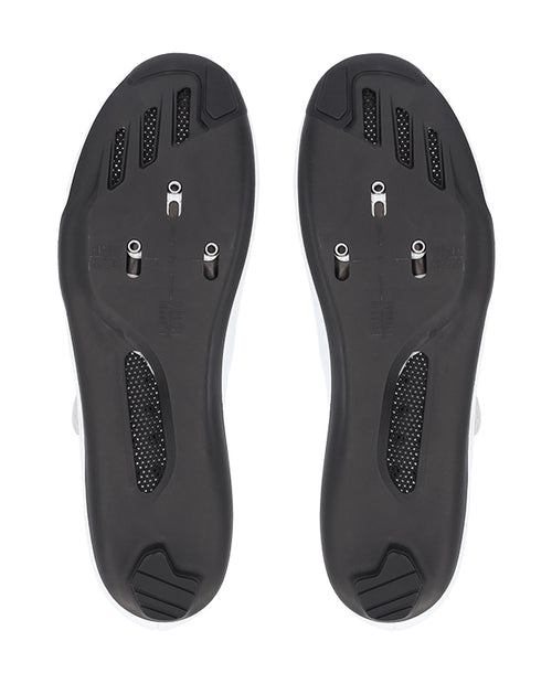 Q36.5 卡鞋 Gregarius Road Shoes White 白