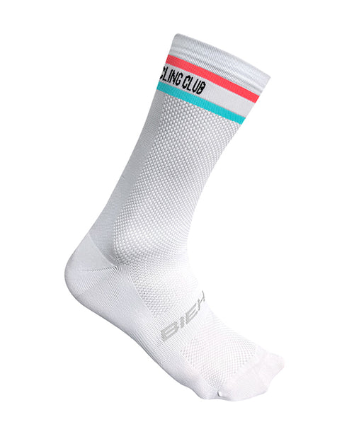 Biehler 車襪 Syndicate Race Socks SYN彩虹